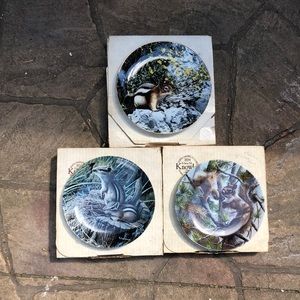3 squirrel collectors plates